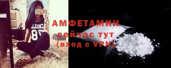амф Сатка